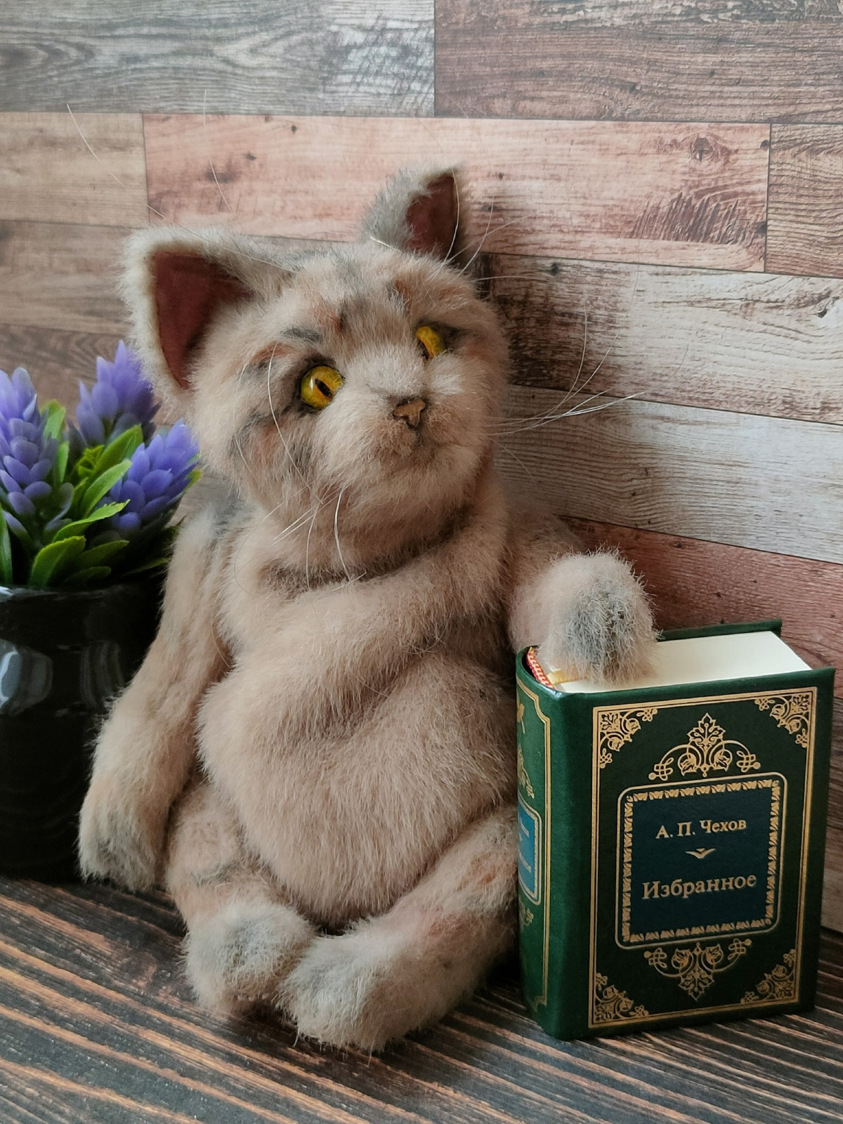 Тедди Кот Антоша