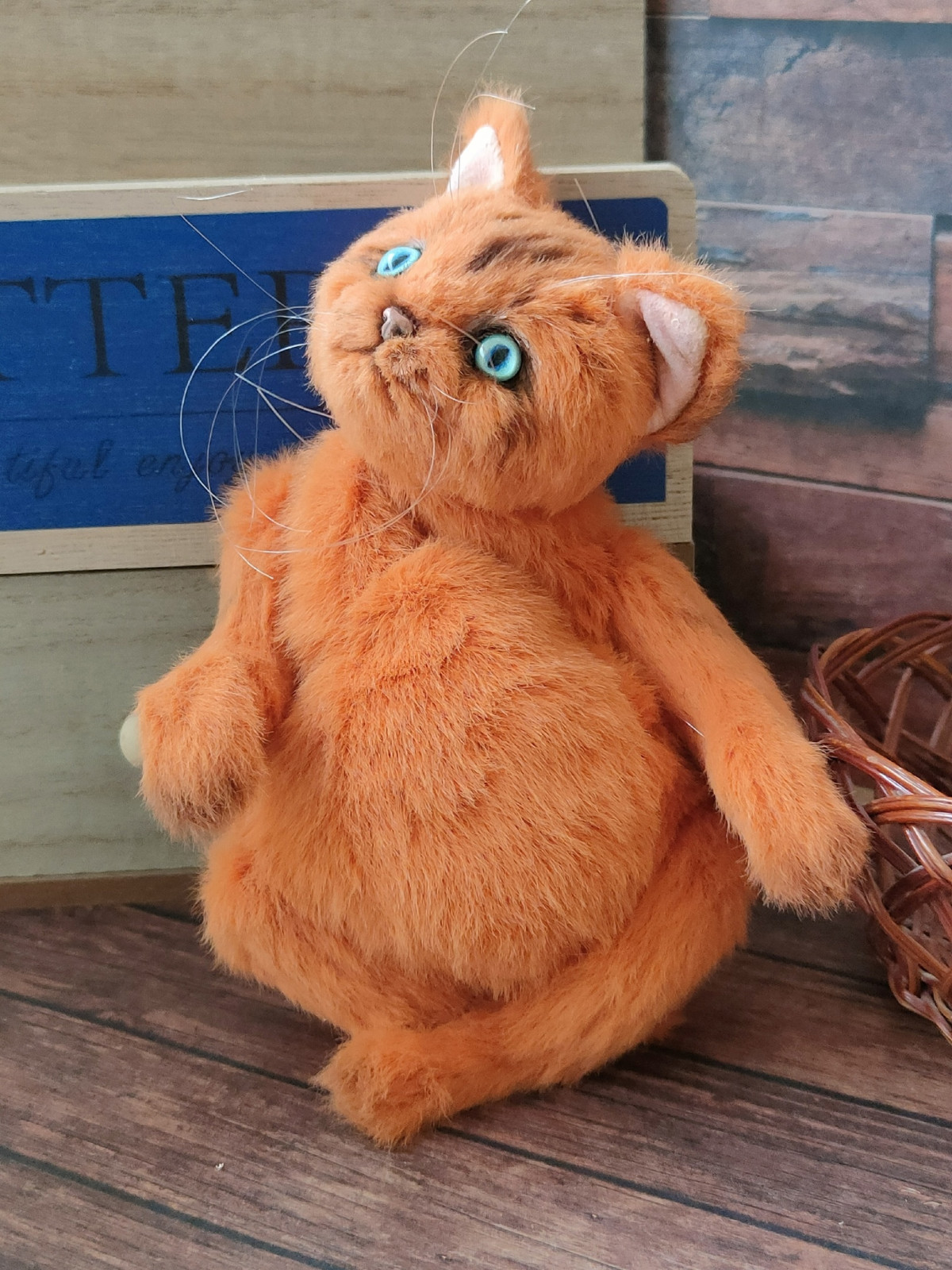 Тедди кошка Муся